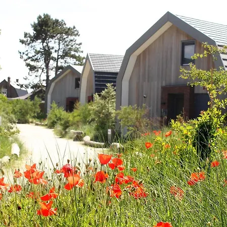 Prachtige Duinvilla's Op Natuurpark Holiday home