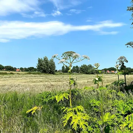 Prázdninový dům Prachtige Duinvilla's Op Natuurpark *