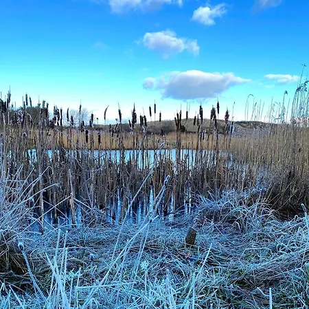 Prachtige Duinvilla's Op Natuurpark *
