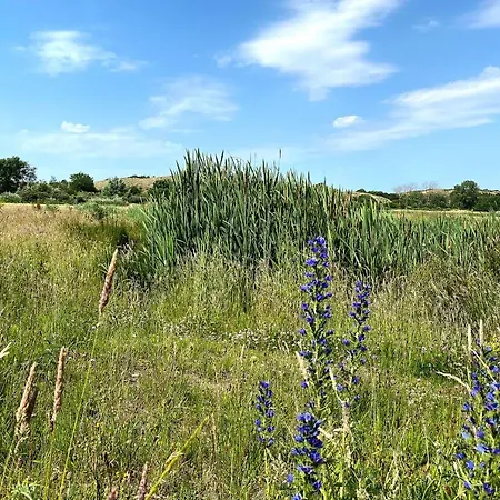 Prázdninový dům Prachtige Duinvilla's Op Natuurpark Egmond aan den Hoef